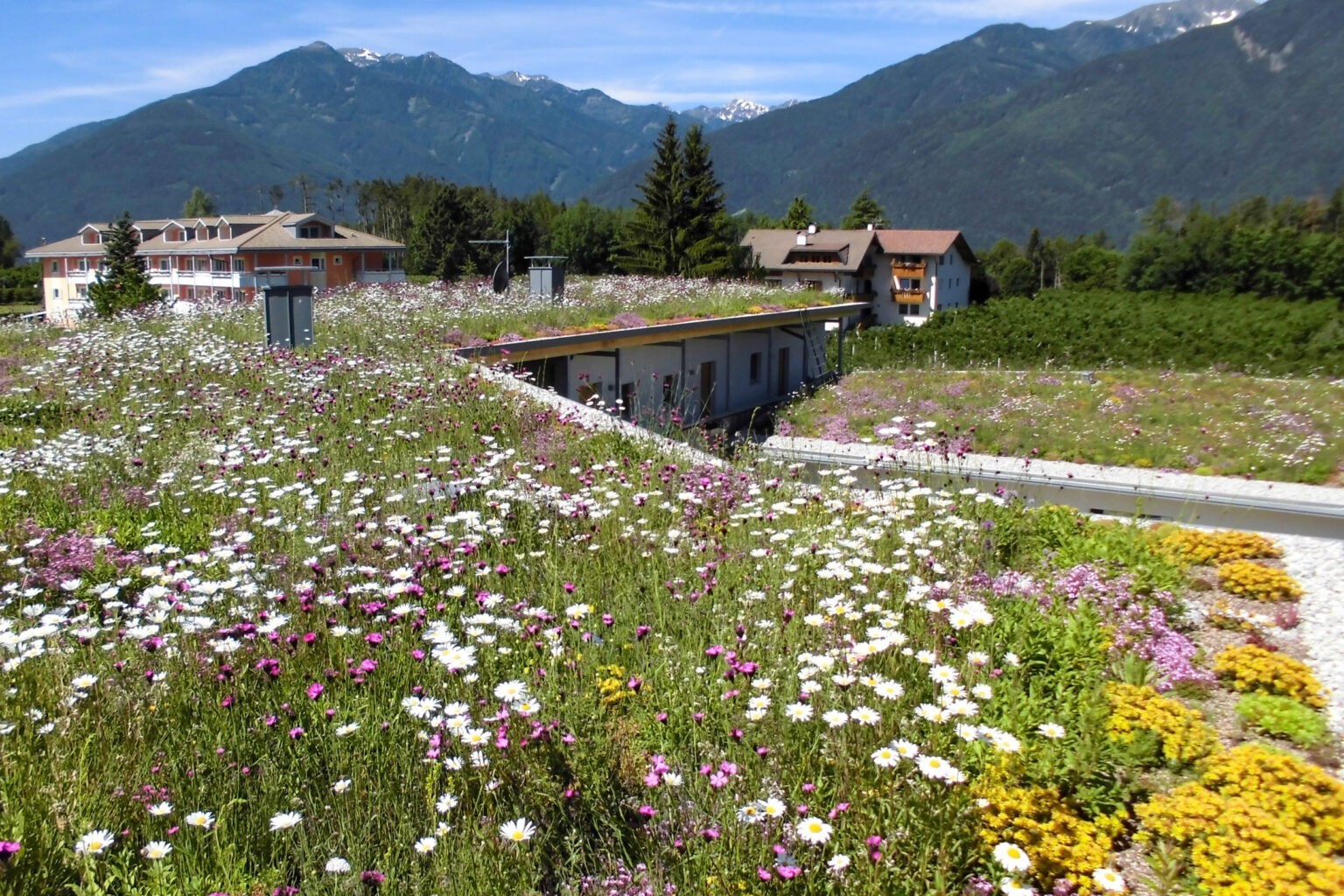 Forestis Plose - Projekte - 2026